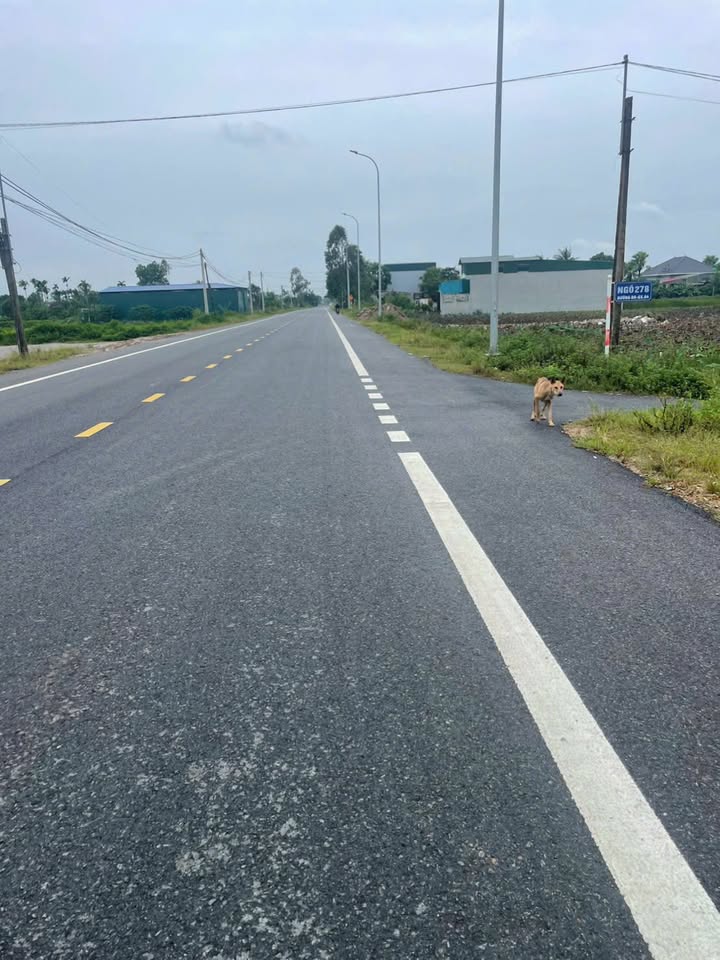 Đất nền Sầm Sơn 125m² giá 1.7 tỷ - Tiềm năng tăng giá vượt trội!