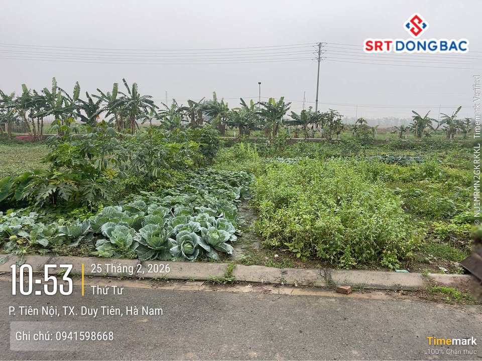 Đất nền Phường Tiên Nội, Duy Tiên 105m² giá 3 tỷ - Tiềm năng tăng giá vượt trội