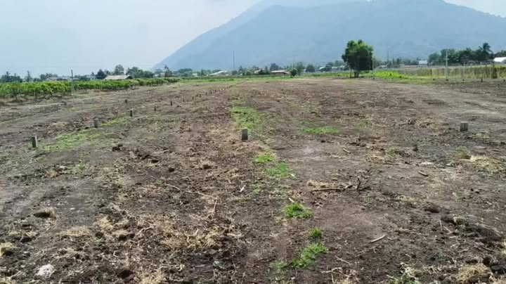 Đất nền Bình Minh, Tây Ninh 150 triệu - Tiềm năng tăng giá