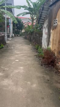 Đất nền Quang Hưng, Phù Cừ 90m² - Sổ đỏ chính chủ!