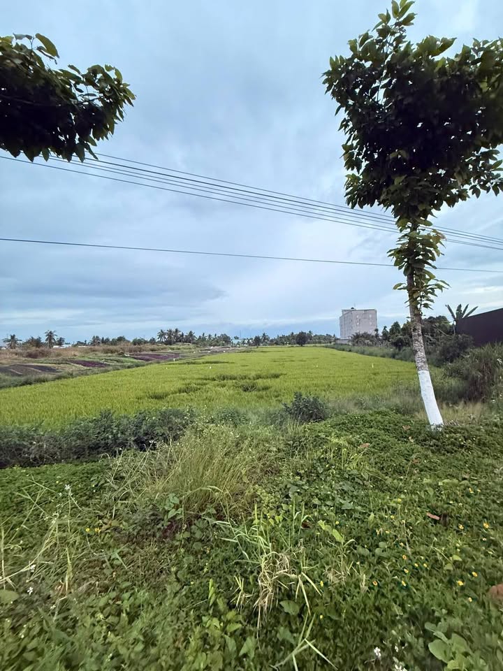 Đất nền Củ Chi 7273m² mặt tiền Võ Văn Kiệt - Tiềm năng kinh doanh vượt trội