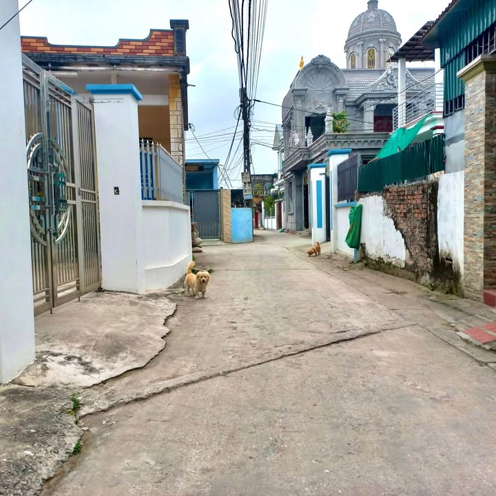 Đất nền Vũ Ninh, Kiến Xương 90m² - Đường to ô tô, lô góc 2 mặt tiền!