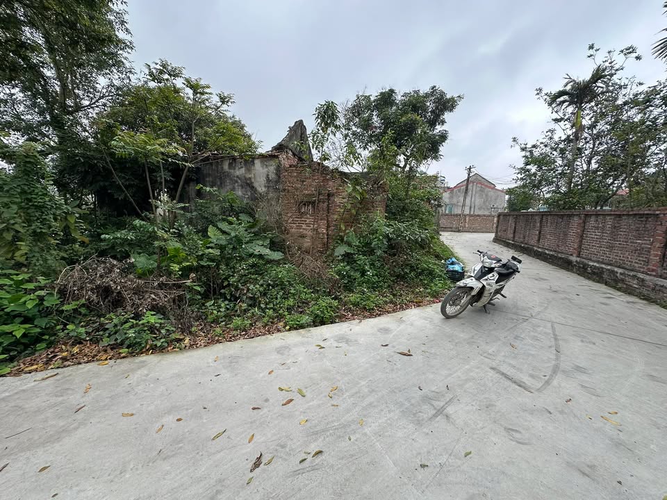 Đất nền Phú Bùi Bình Giang 400m² - Tiềm năng tăng giá vượt trội!