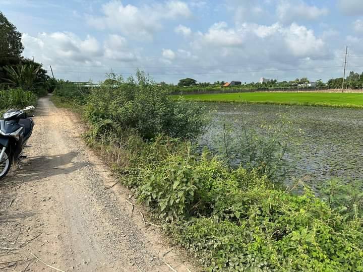 Bán Đất Vườn 1000m² Xã An Long, Bình Chánh - Sổ Đỏ Sẵn Sàng