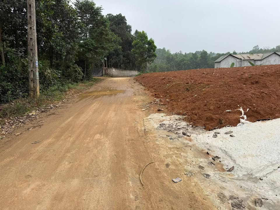 Bán đất Phú Hộ TX Phú Thọ 1200m² giá 5xx triệu - Sổ đỏ chính chủ