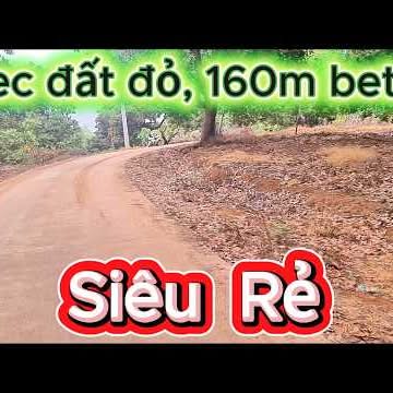 Đất Vườn 1ha Phú Riềng Bình Phước - Sổ Đỏ Sẵn, Giá 1.3 Tỷ