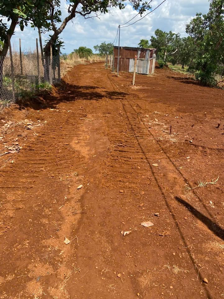 Đất nền Quảng Tín, Đắk Nông 7200m² - Tiềm năng tăng giá vượt trội!