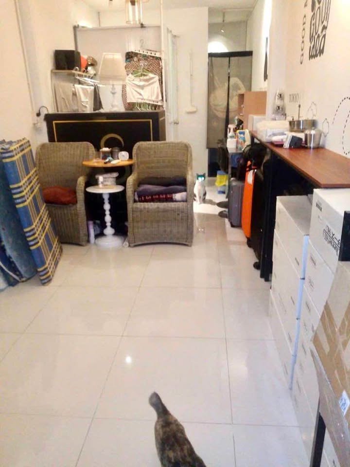 Nhà phố Phạm Viết Chánh Bình Thạnh 51m² - Mặt tiền kinh doanh đỉnh cao!