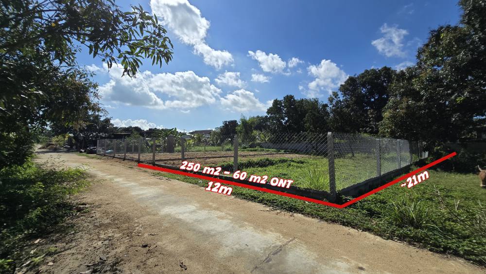 Đất nền Cam Hiệp Nam 250m² - Sổ đỏ chính chủ, tiềm năng vượt trội!