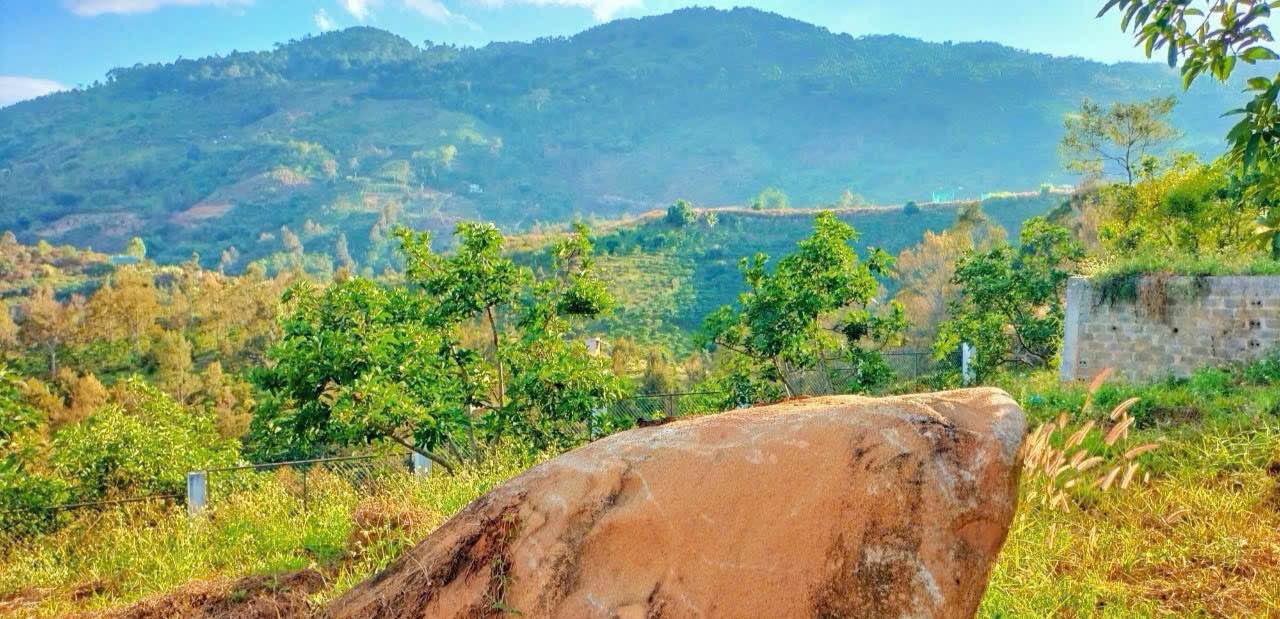 Đất nền Lộc Thành 1172m² chỉ 1 tỷ - View đẹp, sổ đỏ sẵn sàng!