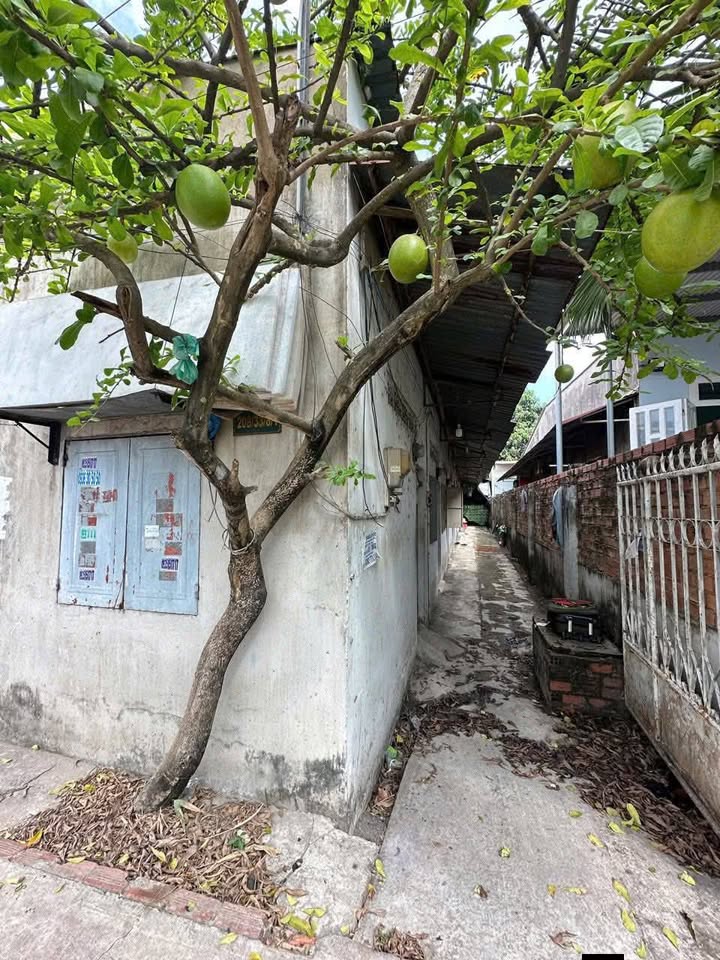 Bán Đất Trảng Dài Biên Hòa 179m² - Sổ Riêng, Có Dòng Tiền 10 Phòng Trọ