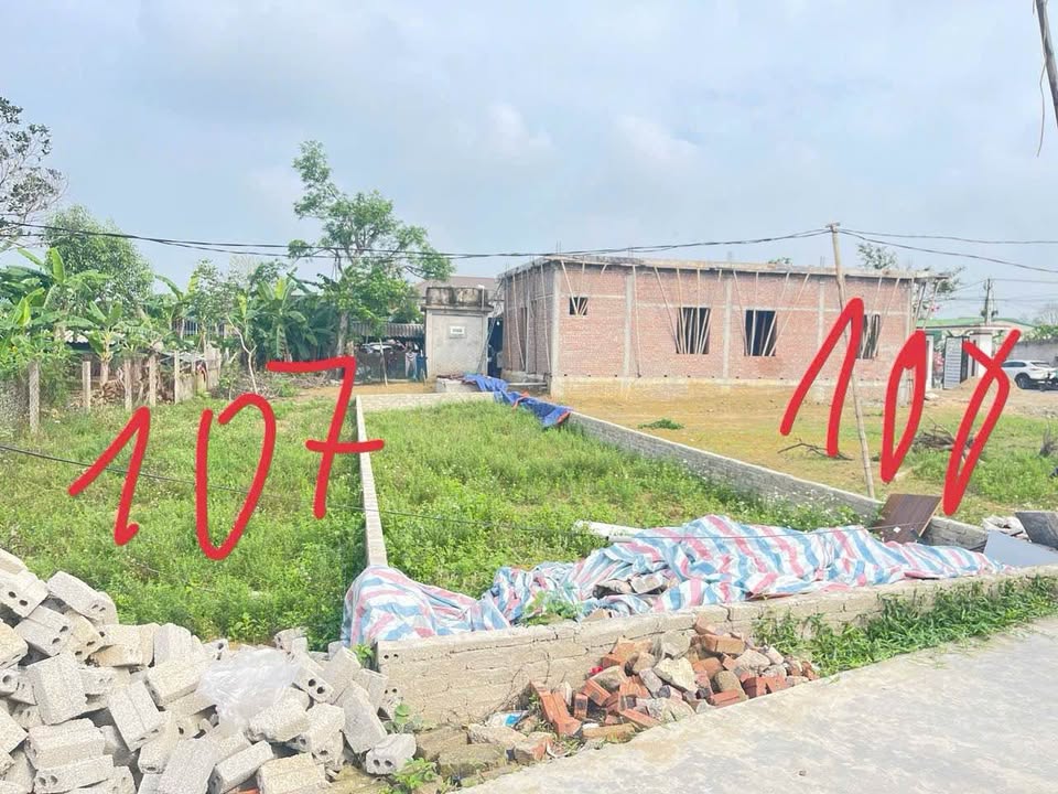 Đất Nền Nghi Trung 100m² - Sổ Đỏ Full Thổ Cư, Giá Đầu Tư 9XX Triệu