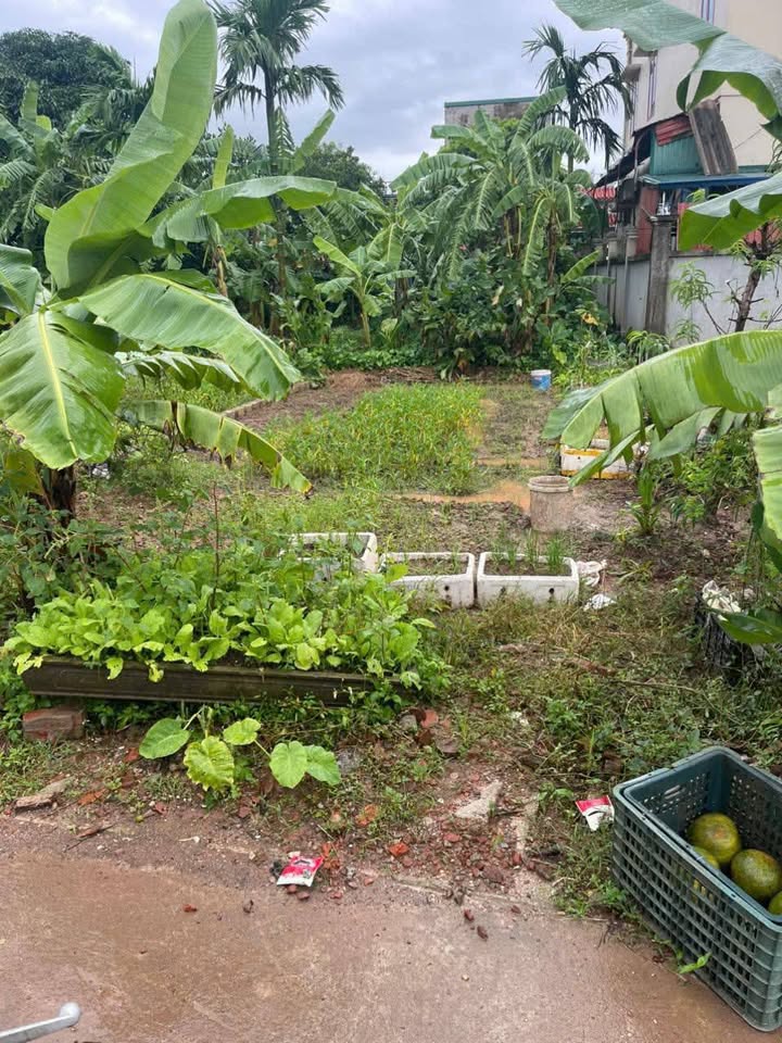 Đất nền Bột Xuyên Mỹ Đức 47.6m² - Đường to ô tô, tiềm năng tăng giá!