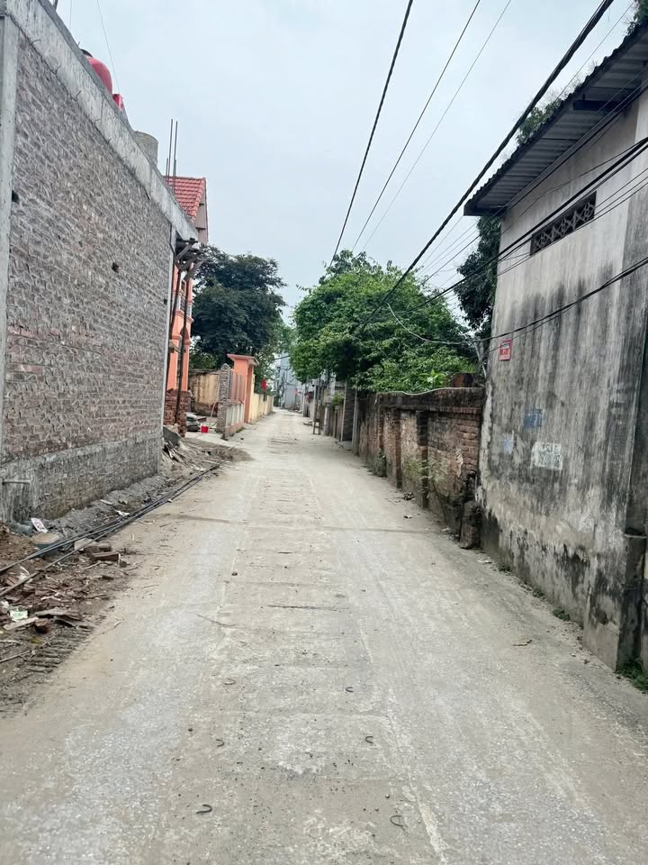 Đất Thư Phú Thường Tín 64m² - Sổ Đỏ Vừa Tiền, Ô Tô Vào Tận Đất