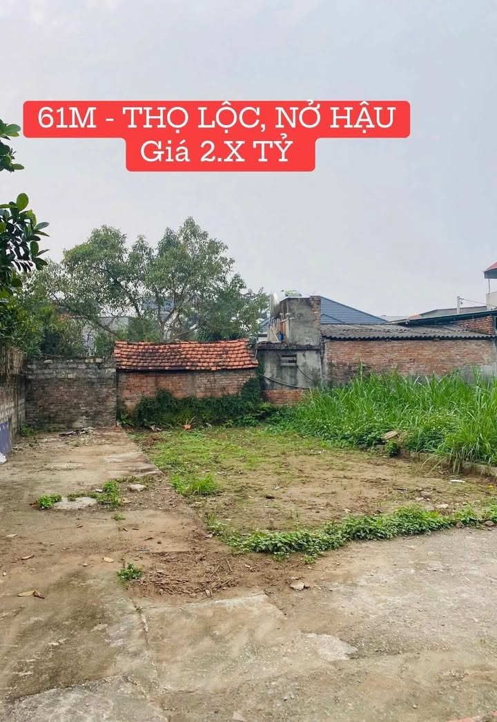 Đất nền Xã Tích Lộc Phúc Thọ 61m² - Tiềm năng tăng giá!