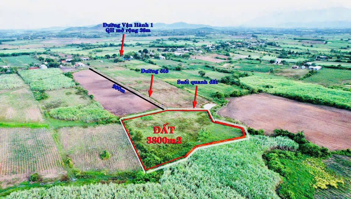 Bán Gấp Đất Vườn Ninh Tây 3800m² - Sổ Hồng Sẵn Sàng