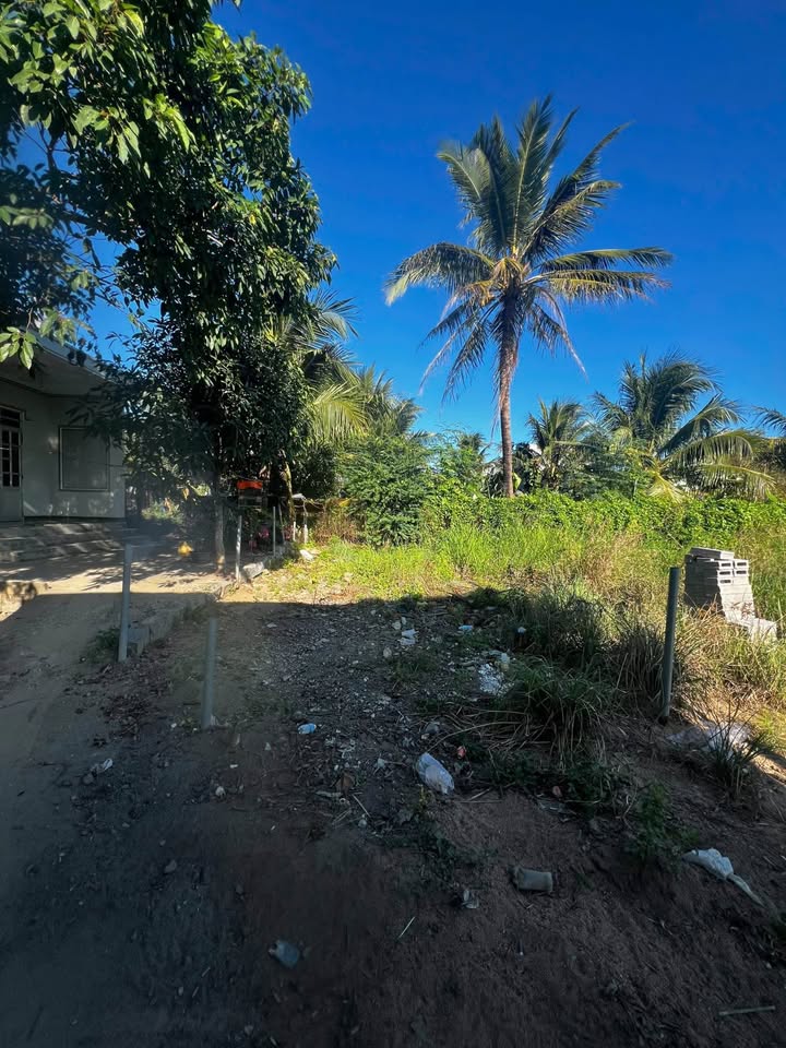 Đất Vĩnh Phương Nha Trang 64m² - Sổ Hồng Riêng, Giá Chỉ 650 Triệu