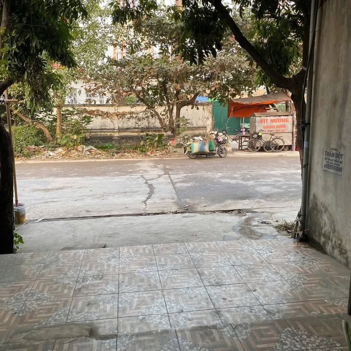 Nhà riêng Thôn Phúc Thành, Kim Thành 120m² - Vị trí đẹp, kinh doanh đỉnh!