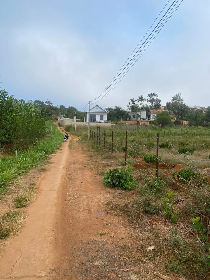 Đất Nền Thôn 6 Gia Lâm 1335m² giá 1.8 tỷ - Tiềm năng tăng giá!