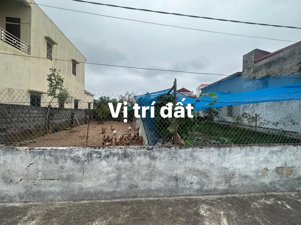 Đất nền Xóm 14, QL37B Hoành Sơn 180m² - Tiềm năng tăng giá vượt trội!