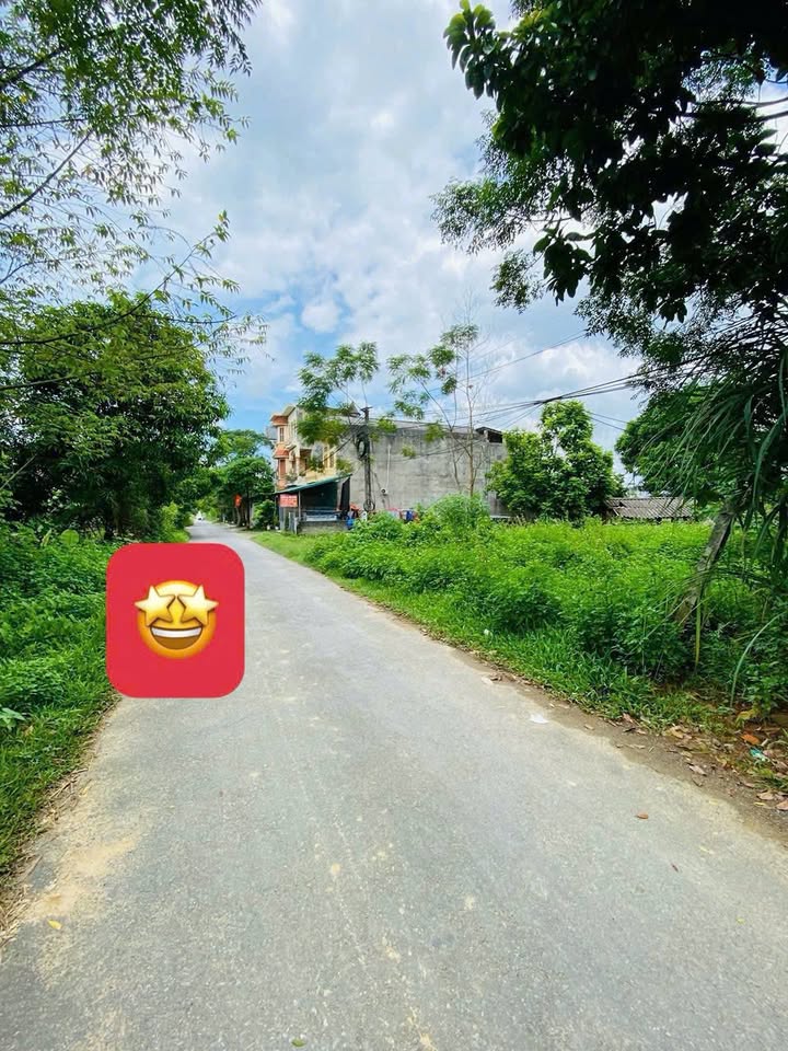 Đất Vàng Phường Ỷ La, Tuyên Quang 87m² - Sổ Đỏ Sẵn Sàng Sang Tên