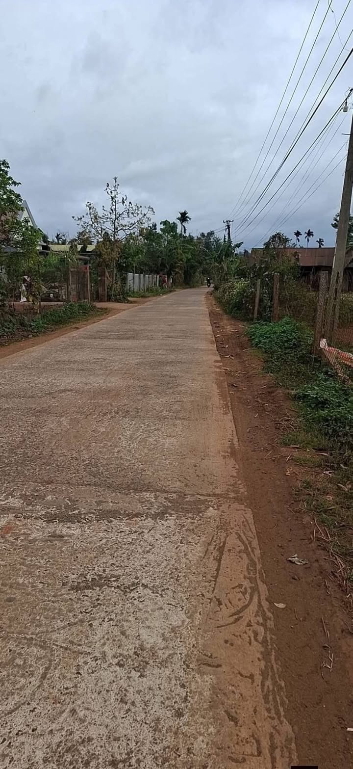 Đất Nền Đăk Lao, Đăk Mil 300m² giá 1.18 tỷ - Sổ Đỏ Chính Chủ!