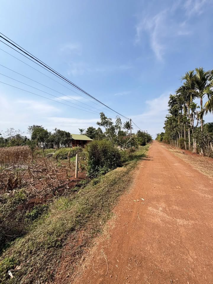 Bán Gấp 4 Lô Đất Eadrong Buôn Hồ - 225m² TC - Chỉ 285 Triệu/Lô