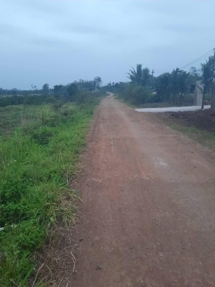 Đất vườn Ea Drông Buôn Hồ 1ha 2.5 tỷ - Sổ đỏ chính chủ