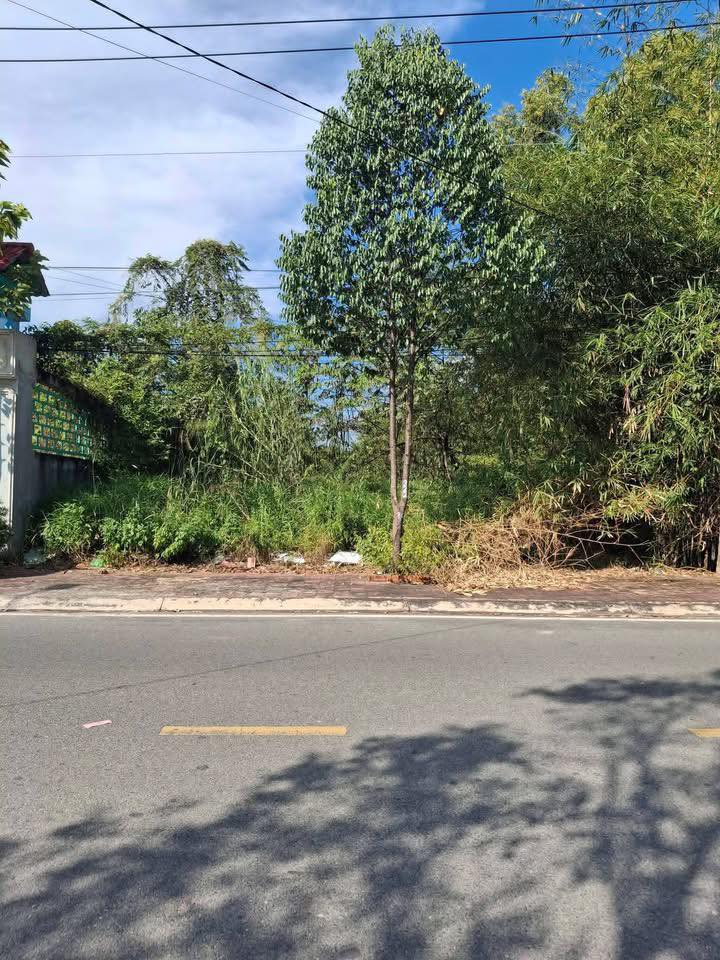 Nhà Phố Tân An, Long An 120m² – Mặt Tiền Kinh Doanh Giá 2.2 Tỷ