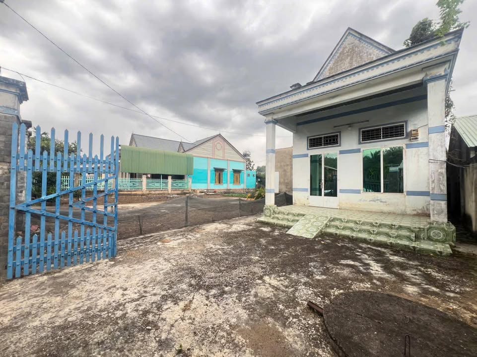 Bán đất 3050m² Tân Lập, Phú Giáo - Sổ đỏ thổ cư, giá 1.35 tỷ