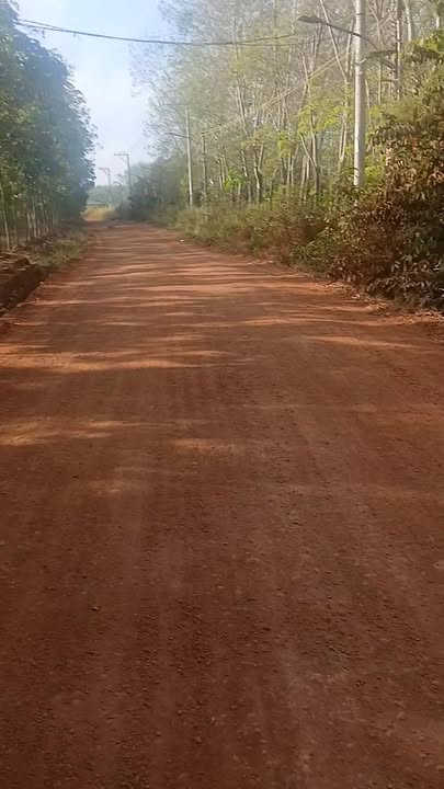 Bán đất Tân Hiệp Phú Giáo 20.000m² giá 10 tỷ - Sổ đỏ sẵn sàng!