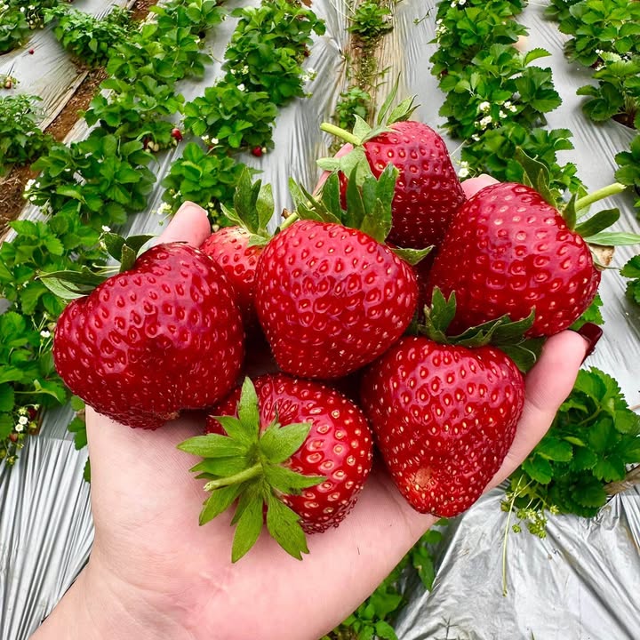 Đất Gia Sàng Thái Nguyên 764m2 17 tỷ - Hạ tầng hoàn thiện