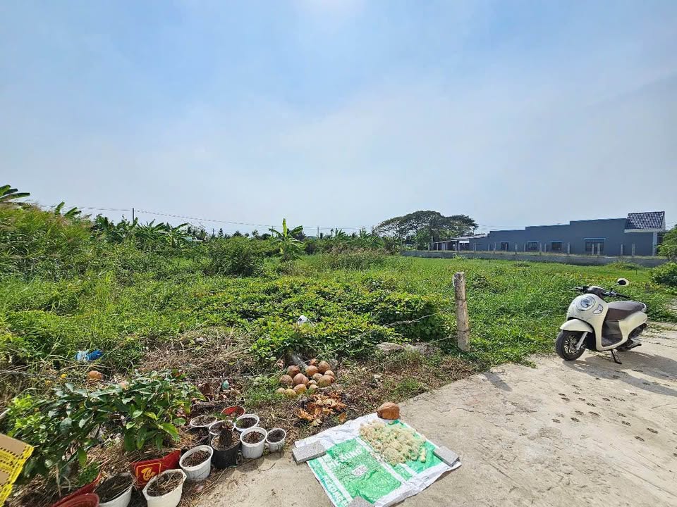 Bán Đất 102m² Thổ Cư Gò Công - 550 Triệu, Sổ Hồng Riêng