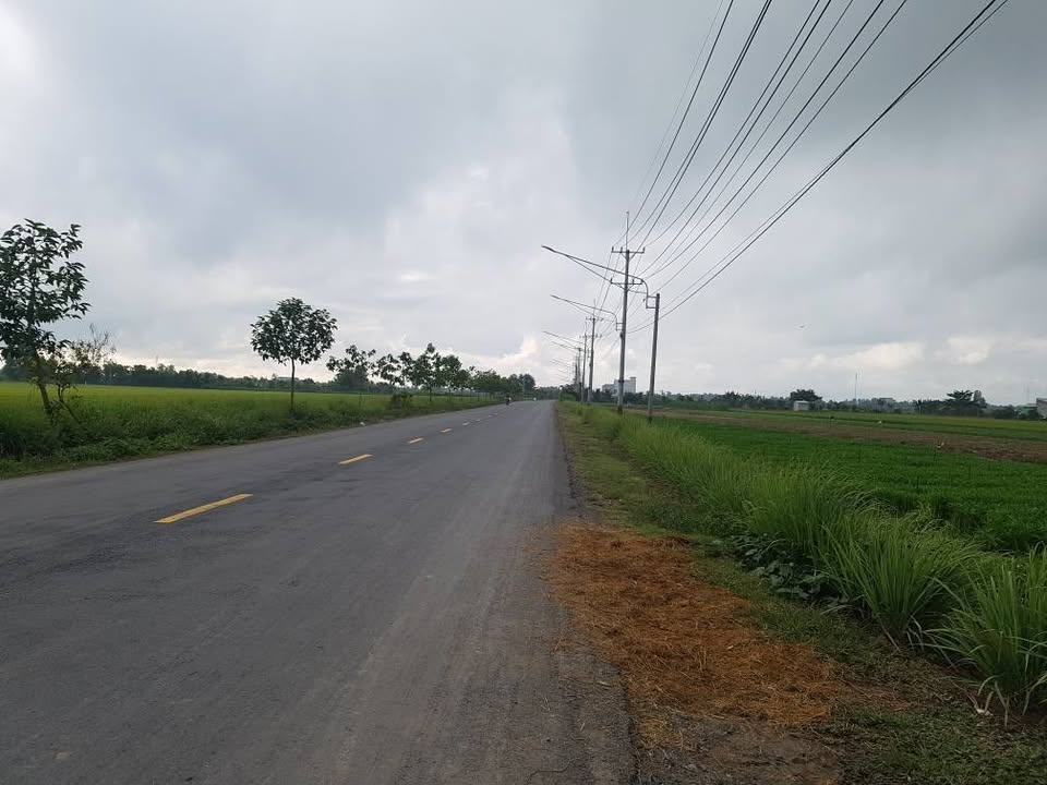 Đất Bình Tân, Gò Công Tây 1900m² giá 370 triệu - Sổ đỏ chính chủ