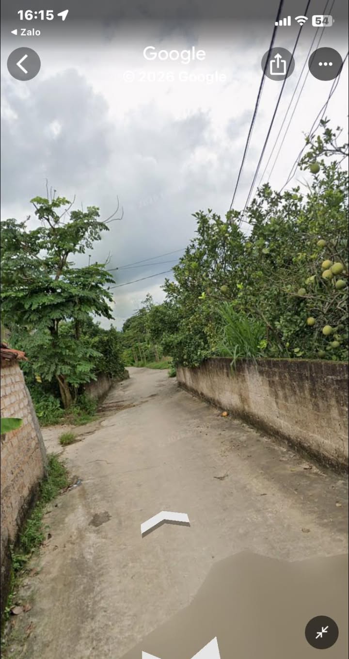 Đất Vàng Tiên Lục - Lạng Giang: Hơn 200m², Mặt Tiền Rộng, Giá 1.2 Tỷ