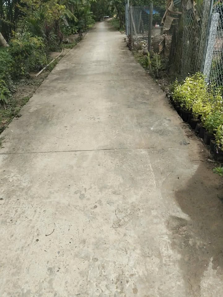 Bán Đất Tặng Nhà Tạm Trung An, Vĩnh Long - 193m², Sổ Đỏ Chính Chủ