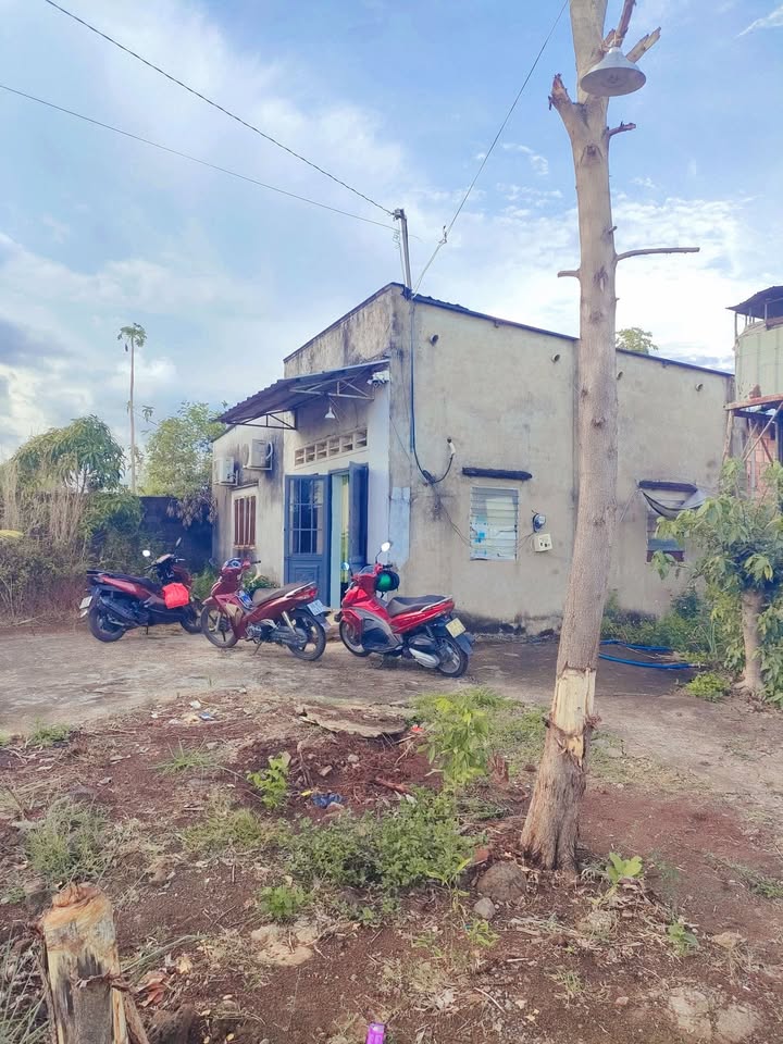 Nhà cấp 4 Trảng Bom 108m² - Giá chỉ 399 triệu, sổ hồng sẵn!