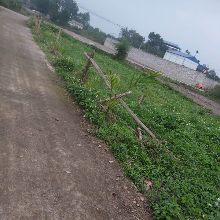 Đất nền Xã Quyết Thắng 500m² giá 400 triệu - Tiềm năng tăng giá!