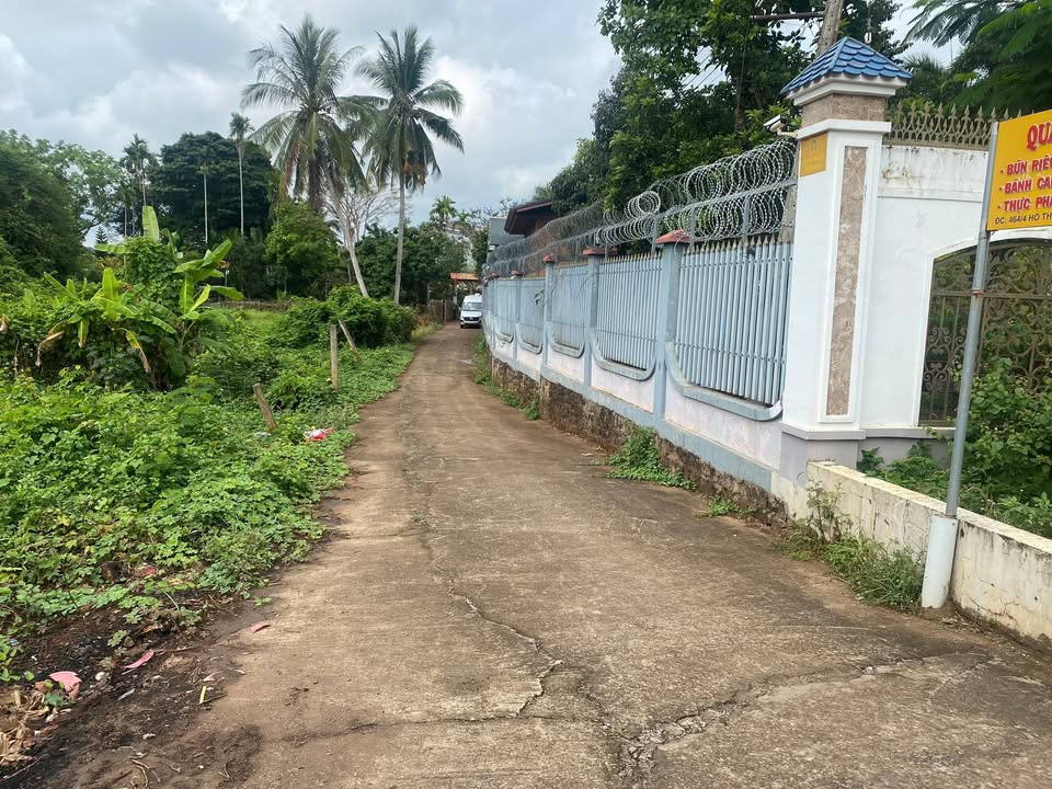 Bán Gấp Đất Thổ Cư 76.8m² Đường Hồ Thị Hương, Long Khánh - Sổ Hồng Sẵn Sàng