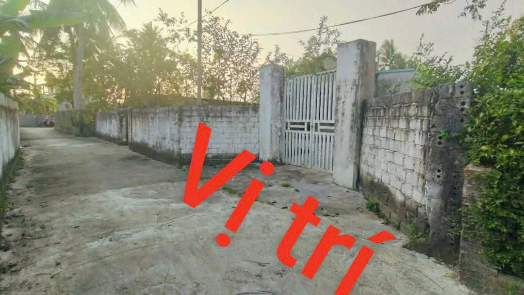 Đất nền Hoằng Hóa 120m² - Đất thổ cư 100%, sổ đỏ sẵn sàng!