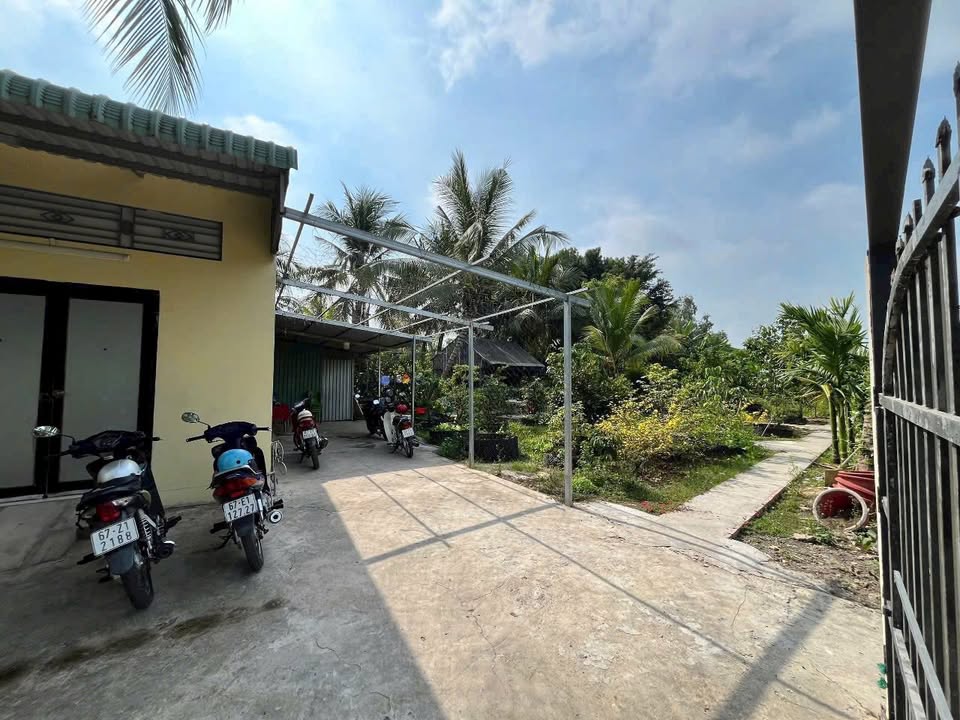 Bán Đất Nghỉ Dưỡng An Giang 715m² - Sổ Hồng Chính Chủ, Giá 1.6 Tỷ