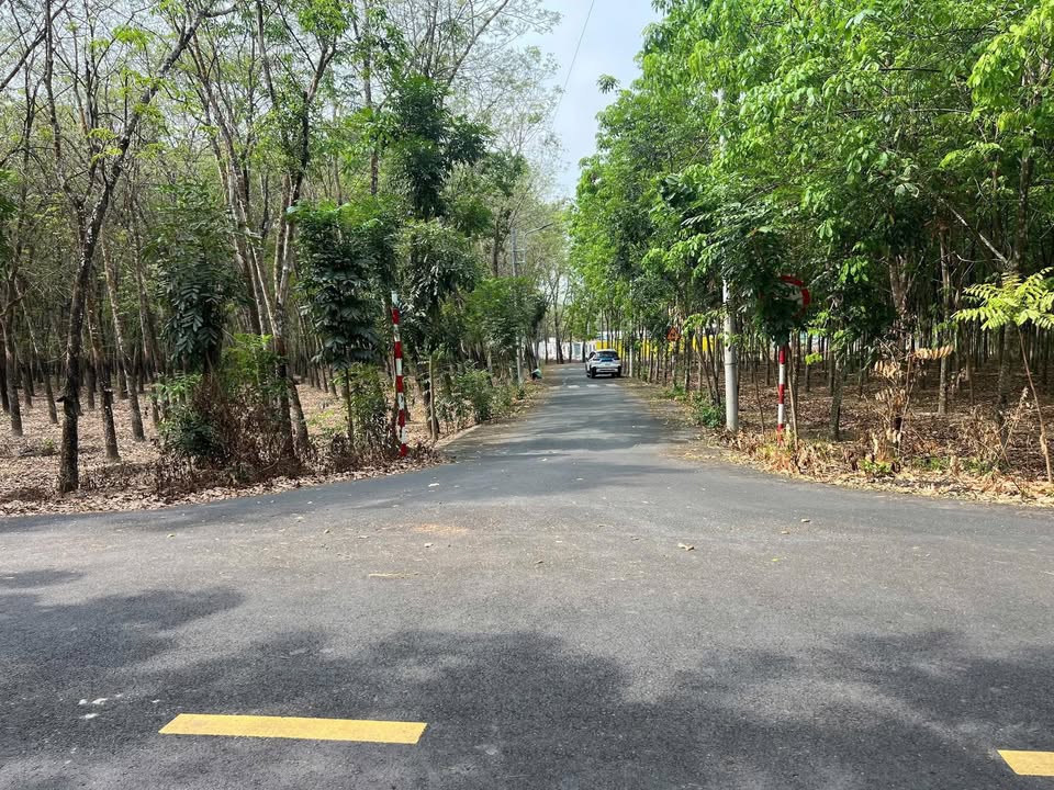 Đất nền Chánh Phú Hòa, Bến Cát 216m² - Sổ đỏ chính chủ