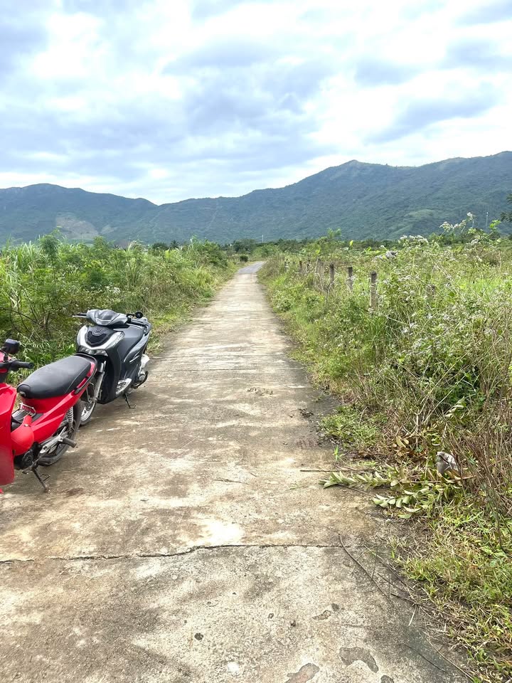 Đất Vườn Vạn Ninh, Khánh Hòa 3200m² – Nghỉ dưỡng lý tưởng!