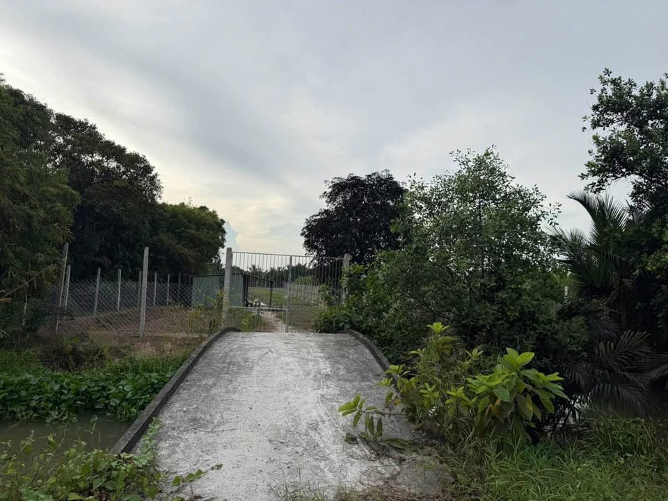 Đất nền Hậu Giang 3022m² mặt tiền đường 927C - Tiềm năng tăng giá vượt trội!