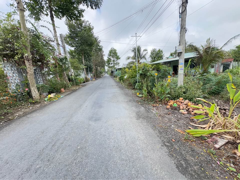 Bán Gấp Nền Mặt Tiền Kinh Doanh 192m² - Phường Đông Thuận, Vĩnh Long