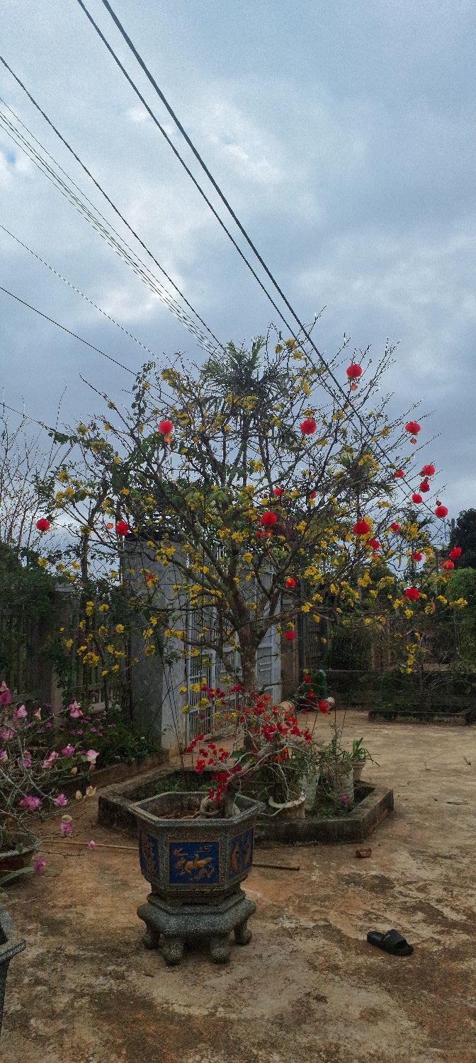 Nhà 150m² Võ Thị Sáu, Krông Năng - Hướng Nam, 2 Mặt Tiền, Giá Thỏa Thuận