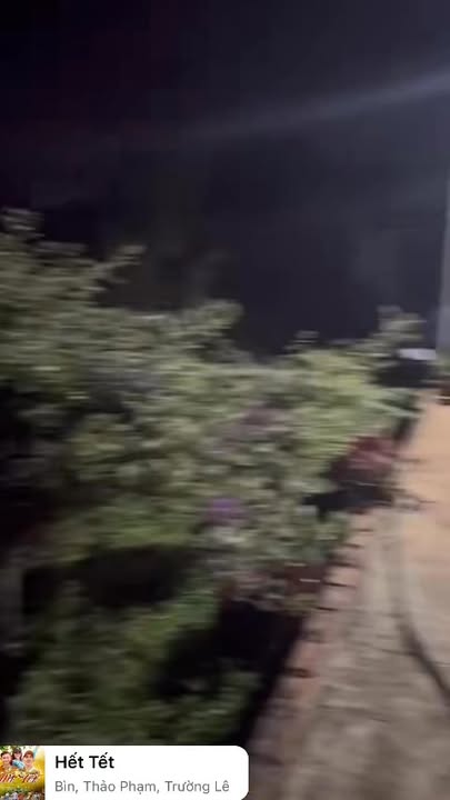 Đất nền Krông Năng 10250m² - Đường ô tô, thổ cư sẵn sàng