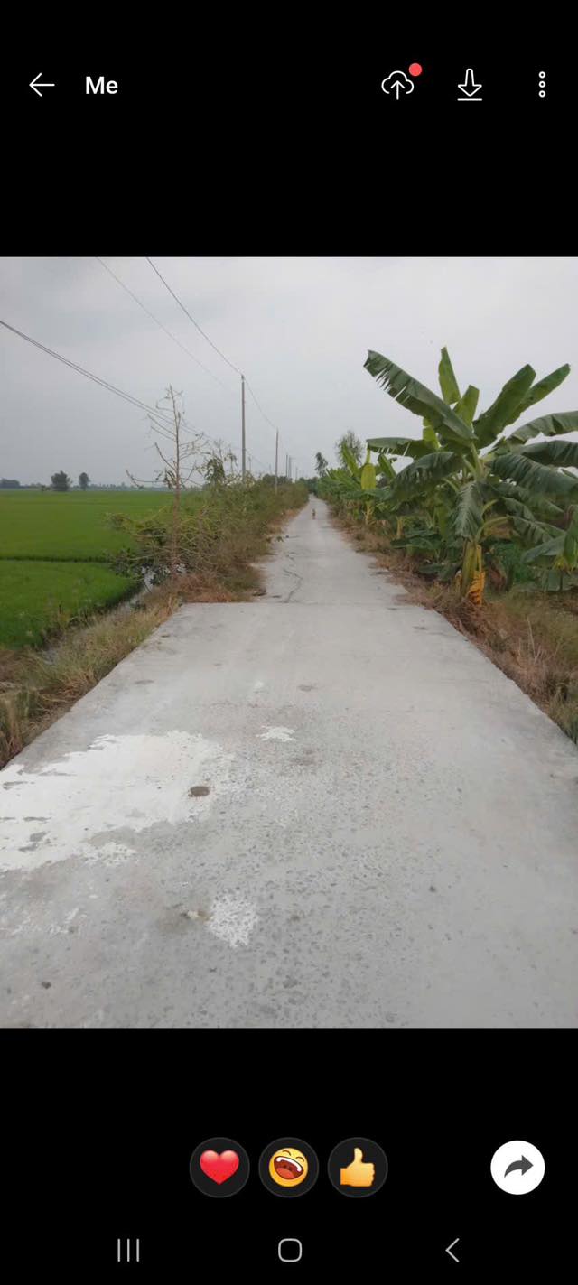 Đất Nền Bình Hòa Hưng Long An 16873m² - Tiềm Năng Tăng Giá Vượt Trội!