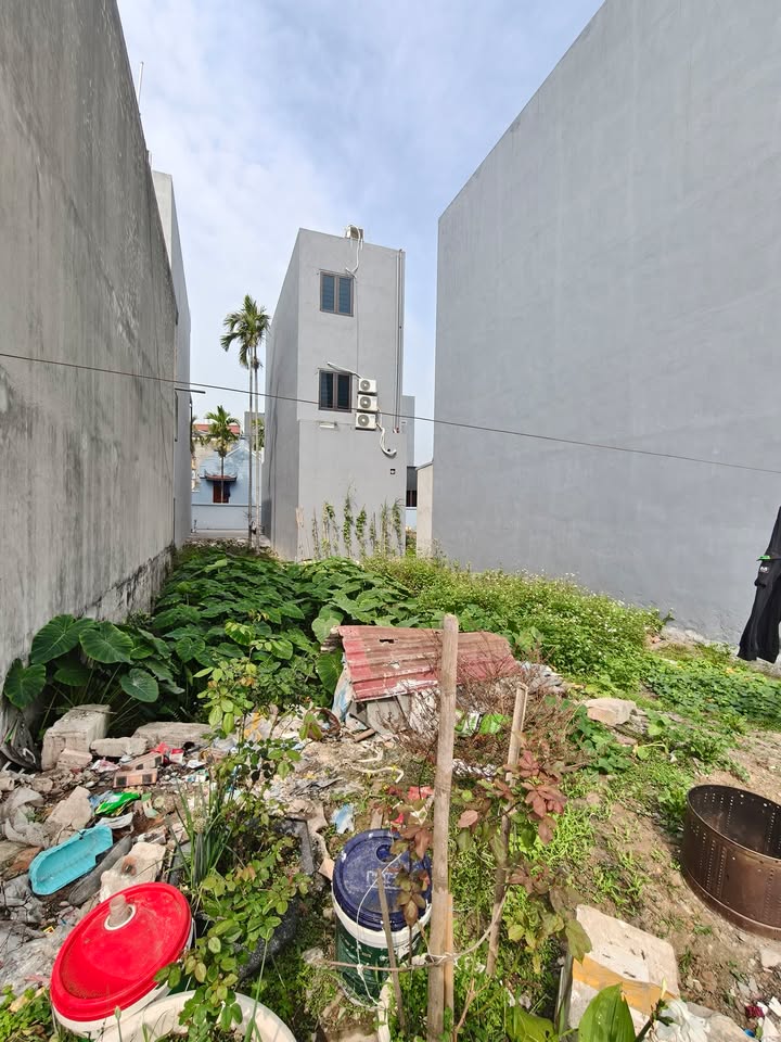 Đất nền Đồng Hoà Hải Phòng 52m² 2 tỷ - Sổ đỏ chính chủ