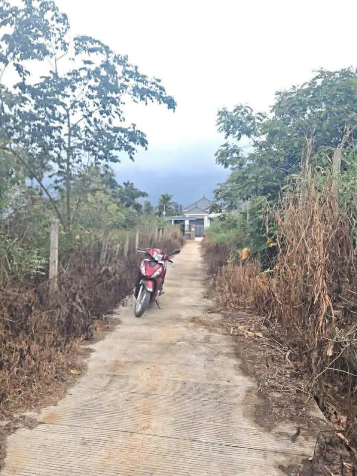 Đất nền Buôn Hồ 290m² - Sổ đỏ chính chủ, đường bê tông rộng rãi!